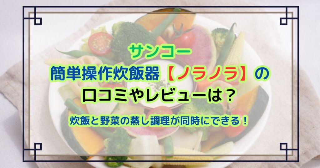 簡単操作炊飯器【ノラノラ】の口コミやレビューは？炊飯と野菜の蒸し調理が同時にできる！