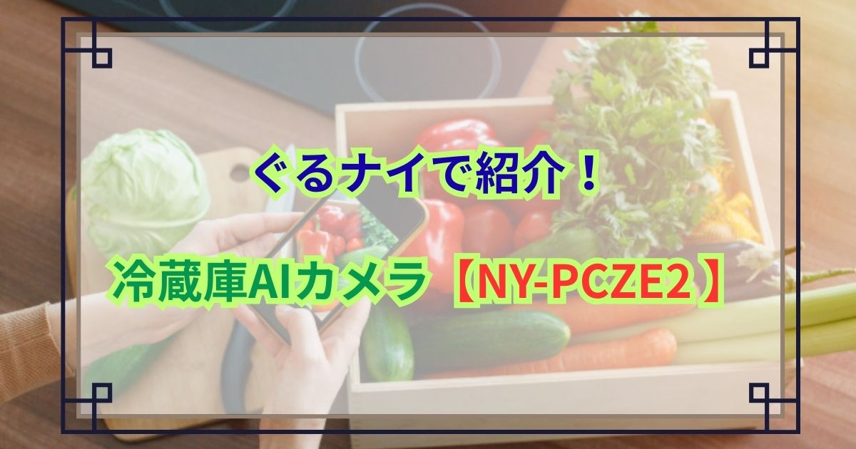 ぐるナイで紹介！冷蔵庫AIカメラ【NY-PCZE2 】